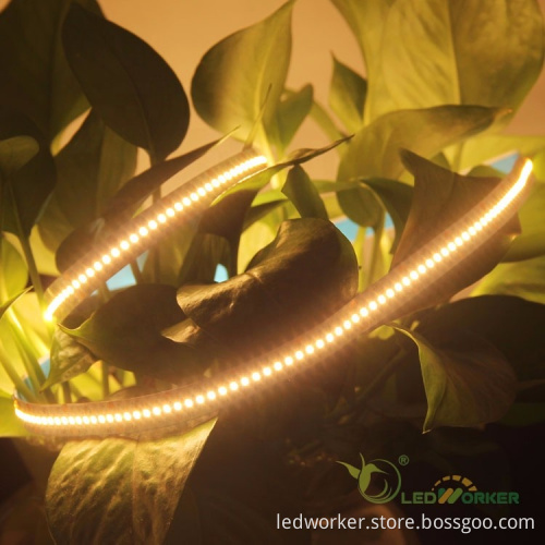High Luminous Waterproof Heat Resistant SMD 2216 LED Strip Light - CRI90/95, 19W, 23V/24V, 2700K Flexible LED Strip Lights